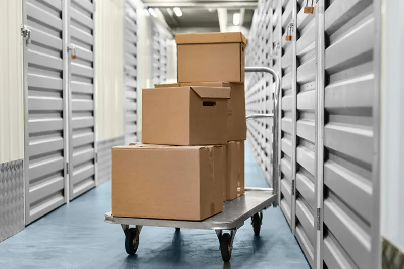 national-self-storage-day-carts